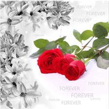 Cross stitch pattern: #307006