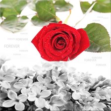 Cross stitch pattern: #307008