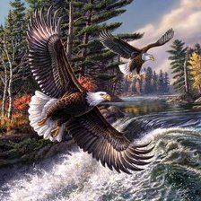 Cross stitch pattern: #307321