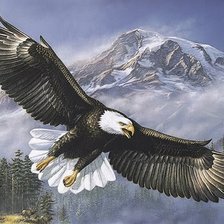 Cross stitch pattern: #307329