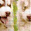 Preview of cross stitch pattern: #307564
