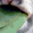 Preview of cross stitch pattern: #307570