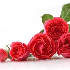 Cross stitch pattern: #307590