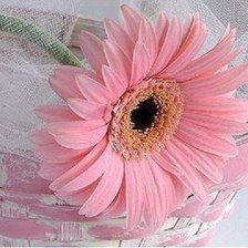 Cross stitch pattern: #307606