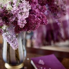 Cross stitch pattern: #309529