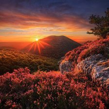 Cross stitch pattern: #309592