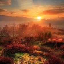 Cross stitch pattern: #309595