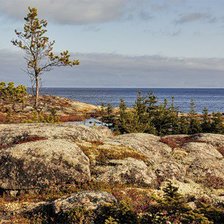 Cross stitch pattern: #310107