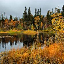 Cross stitch pattern: #310108