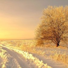 Cross stitch pattern: #310112