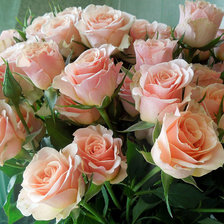 Cross stitch pattern: #310113