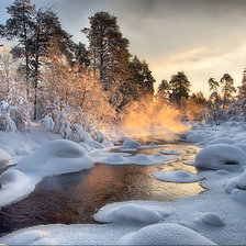 Cross stitch pattern: #310114