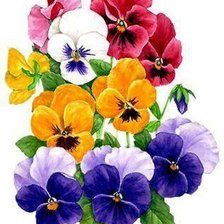 Cross stitch pattern: #310410