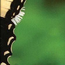 Cross stitch pattern: #310495