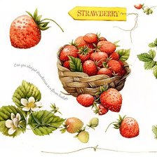 Cross stitch pattern: #310551