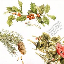 Cross stitch pattern: #310553