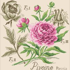 Cross stitch pattern: #310582