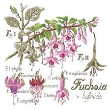 Cross stitch pattern: #310585