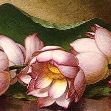 Cross stitch pattern: #310692