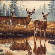 Cross stitch pattern: #310728