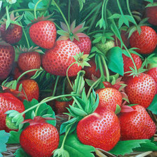 Cross stitch pattern: #312272