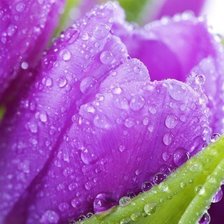 Cross stitch pattern: #313466