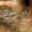 Preview of cross stitch pattern: #313833