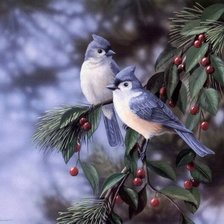 Cross stitch pattern: #314015