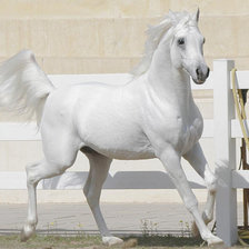 Cross stitch pattern: #314161