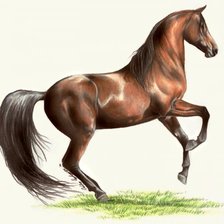 Cross stitch pattern: #314164