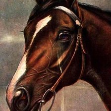 Cross stitch pattern: #314171