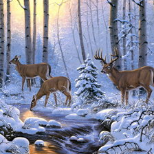 Cross stitch pattern: #314671
