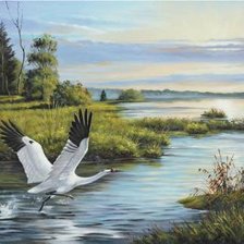 Cross stitch pattern: #314689