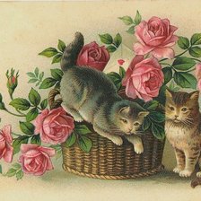 Cross stitch pattern: #314812