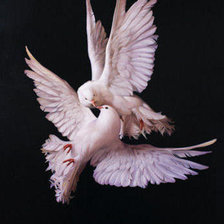 Cross stitch pattern: #315440