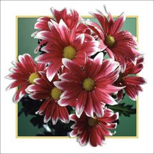 Cross stitch pattern: #315444