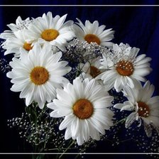 Cross stitch pattern: #315445