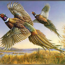 Cross stitch pattern: #315486