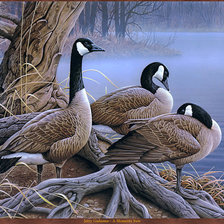 Cross stitch pattern: #315504