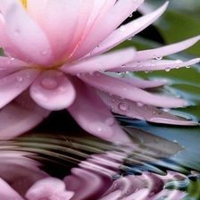 Cross stitch pattern: #316056