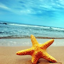 Cross stitch pattern: #316060