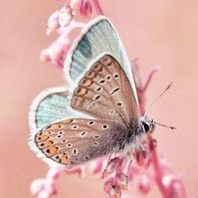 Cross stitch pattern: #316075