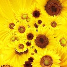 Cross stitch pattern: #316117