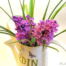 Cross stitch pattern: #316370