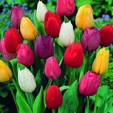 Cross stitch pattern: #316379