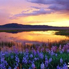 Cross stitch pattern: #316383