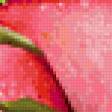 Preview of cross stitch pattern: #316394