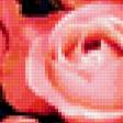 Preview of cross stitch pattern: #316397