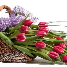 Cross stitch pattern: #316398