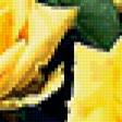 Preview of cross stitch pattern: #316400